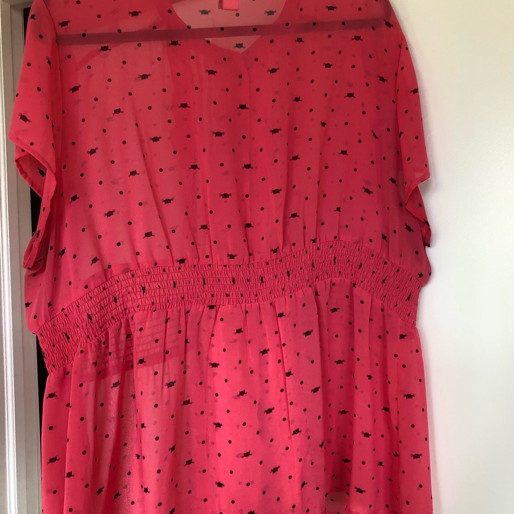 MEOWvalous! 🐱🐱💗💗